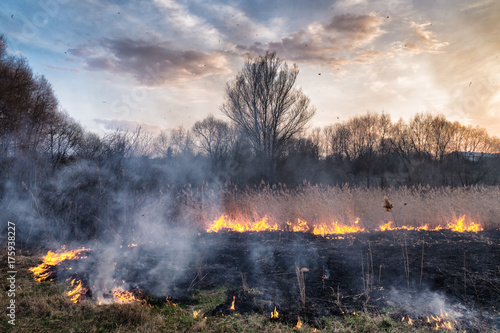 Fires sunset landscape © Oleksandr Masnyi
