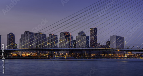 Rotterdam  Netherland s Erasmus bridge close up of wires with downtown skyline in background at night