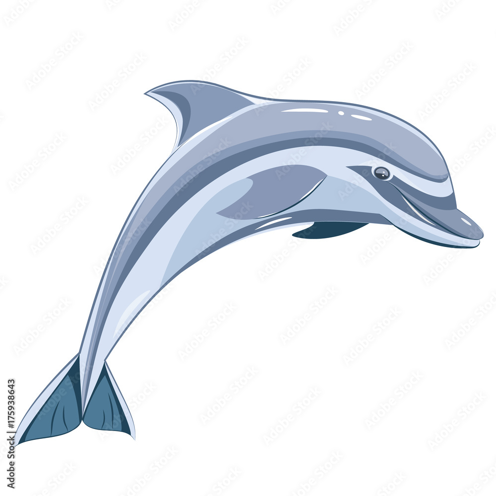 Obraz premium Vector illustration of blue dolphin on a transparent background