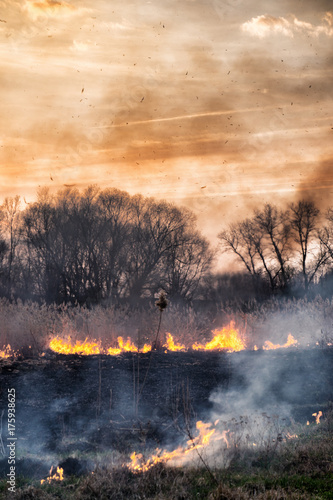Fires sunset landscape © Oleksandr Masnyi