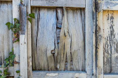 wooden board texture © Zurab