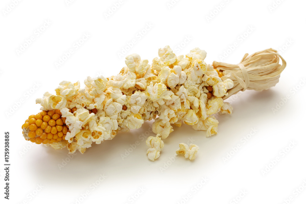 popcorn on the cob isolated on white background popcorn on the cob isolated on white background