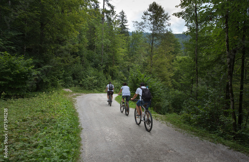 Group of people riding bikes in forest