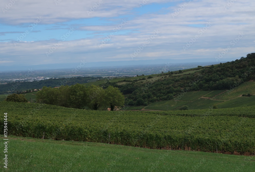 Mâcon wine-growing region