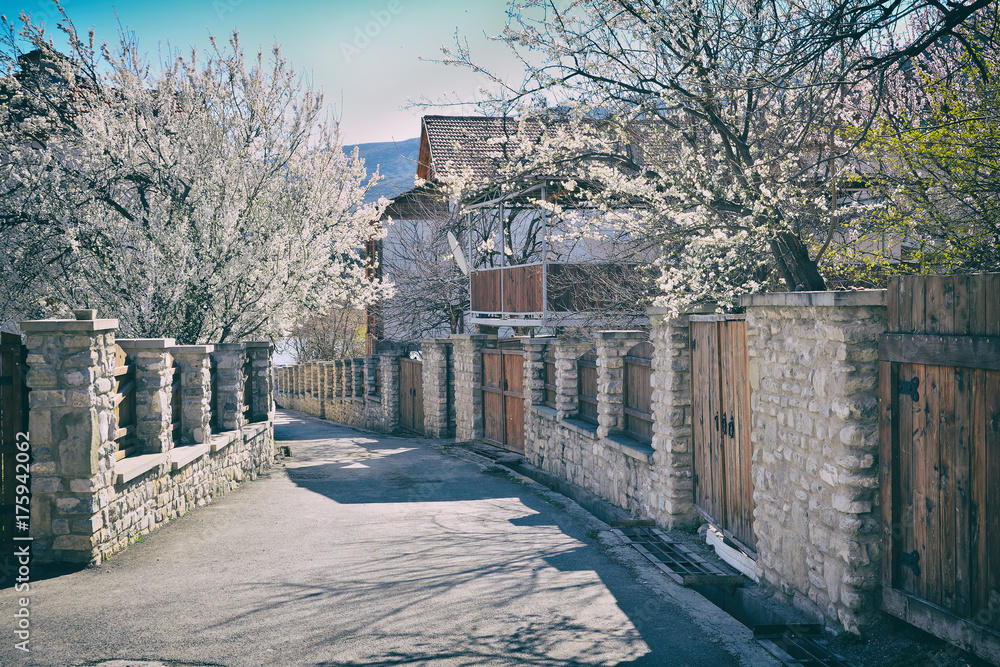 Beautiful old street in the spring