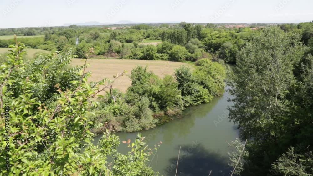 Scenery with river and forest Scenery with river and forest