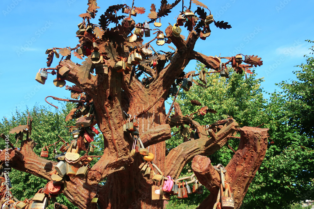 Fototapeta premium tree with locks for lovers