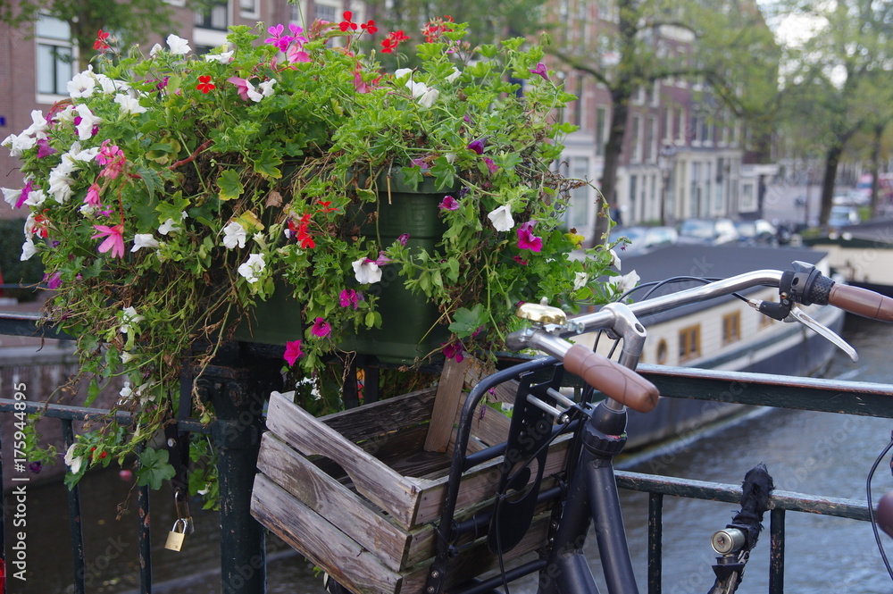 Fahrrad und Blumen in Amsterdam