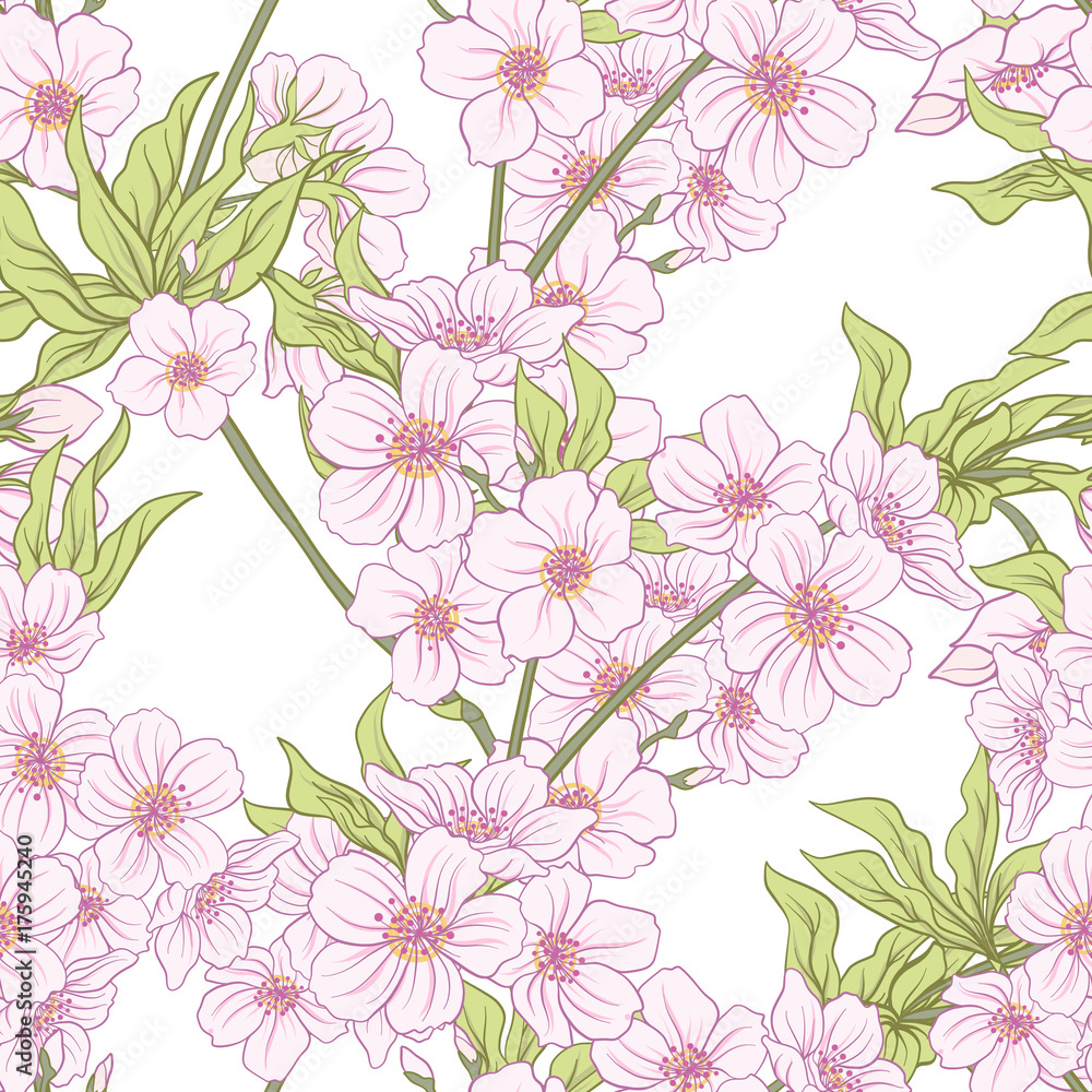 Fototapeta Seamless pattern with Japanese blossom sakura. Vector stock illu
