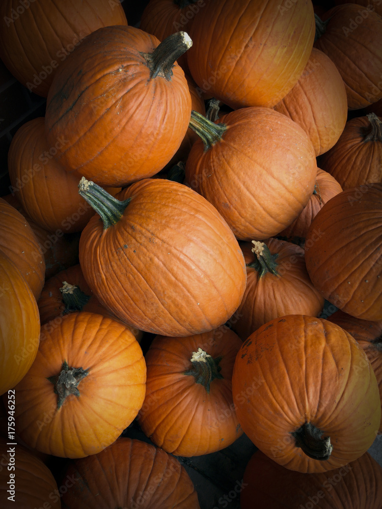 Festive pile of orange autumn pumpkins at a farmer’s market ready for halloween holiday Festive pile of orange autumn pumpkins at a farmer’s market ready for halloween holiday