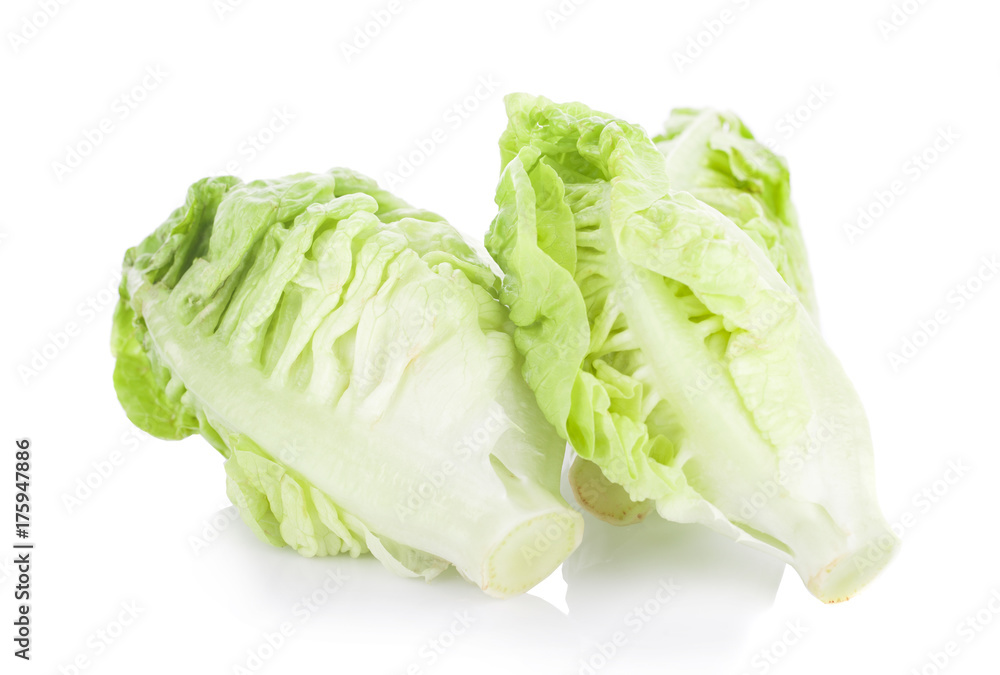Baby Cos lettuce isolated on white background Baby Cos lettuce isolated on white background