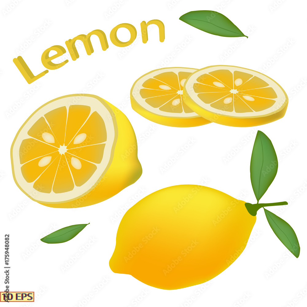 Lemon isolated on white background. Yellow fruit lemon close-up. Sliced lemon. Food product design. Vector illustration for a recipe, restaurant menu, kitchen interior design. Lemon isolated on white background. Yellow fruit lemon close-up. Sliced lemon. Food product design. Vector illustration for a recipe, restaurant menu, kitchen interior design.