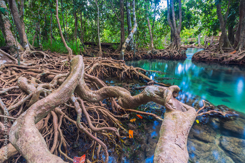 krabi,thailand