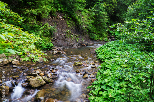 The mountain river flows