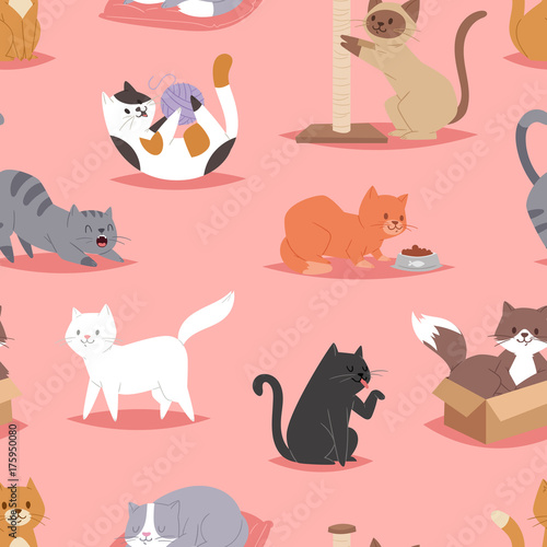 Different cats kitty play defferent pose character illustration vector seamless pattern background
