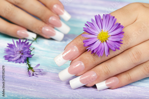 Hands with long artificial french manicured nails and violet flower