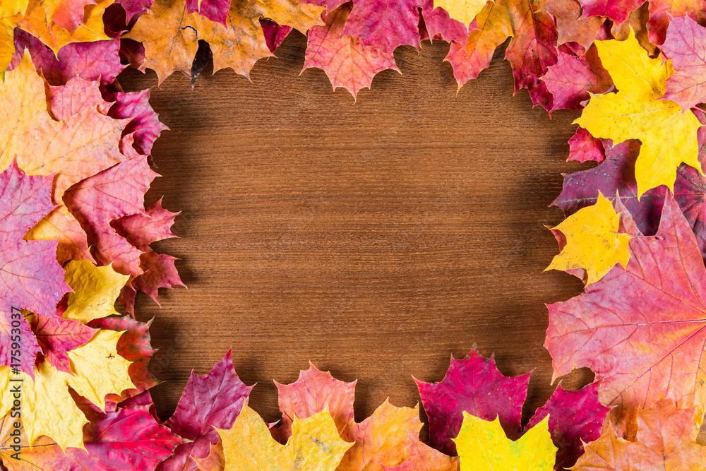 Autumn leaves on a wooden background. Place for inscription in the frame.