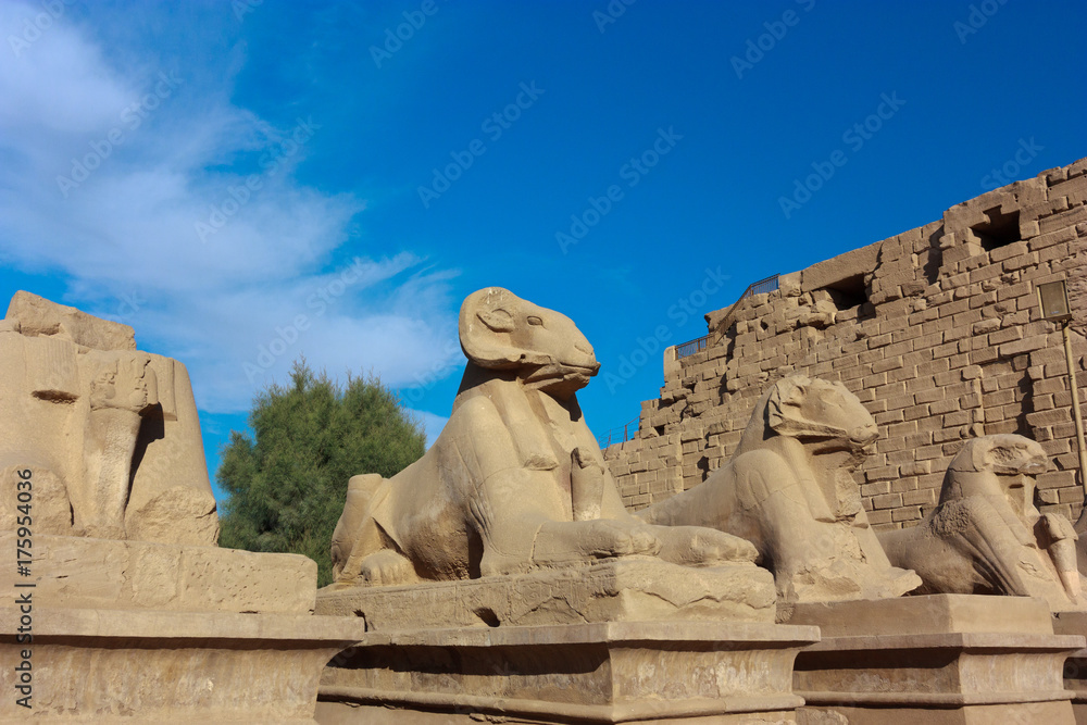 Ancient statues at Luxor Temple in Egypt Ancient statues at Luxor Temple in Egypt