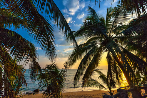 The coast of Sanya Island. The sun is still high, but has already acquired a bright yellow shade, it breaks through the leaves of the palm.