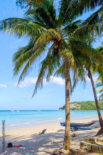 Palm on Kamala beach on the exotic island of Phuket in Thailand © rostovdriver