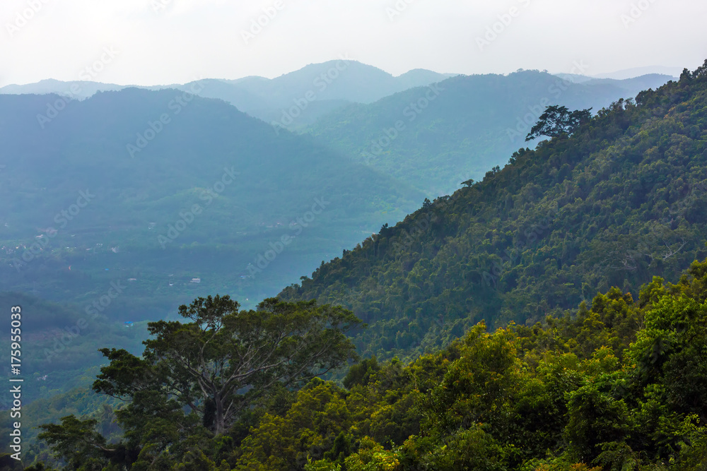 Slope of the rainforest. Yanoda Rain Forest. Hainan, China. Slope of the rainforest. Yanoda Rain Forest. Hainan, China.