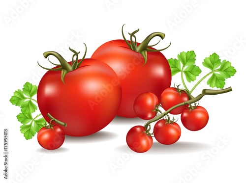 Tomatoes realistic Vector isolated on white