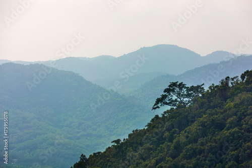 Slope of the rainforest. Yanoda Rain Forest. Hainan, China.