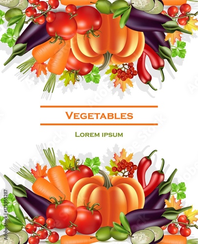 Vegetables banner autumn harvest Vector. Realistic pumpkin, eggplant and tomatoes. Fall Season illustrations