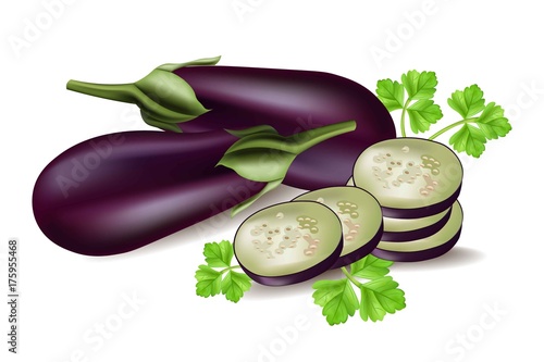 Eggplant slices realistic Vector isolated on white background. 3d illustratio...