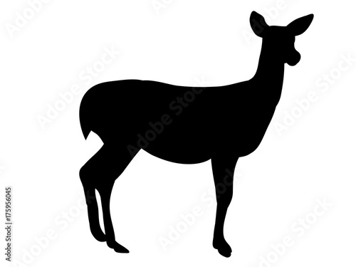 isolated silhouette of a deer Fototapet