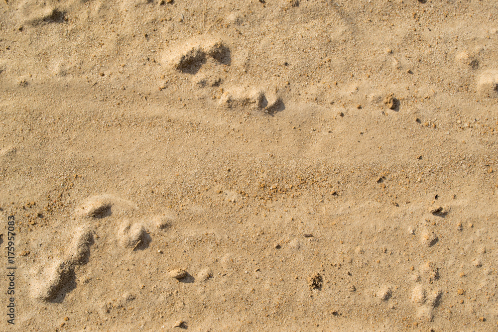 A background of sand and pieces of clay A background of sand and pieces of clay