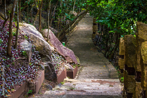 Concrete path, laid in the forest. Yalong Bay Tropic Paradise Forest Park, Hainan, China. photo