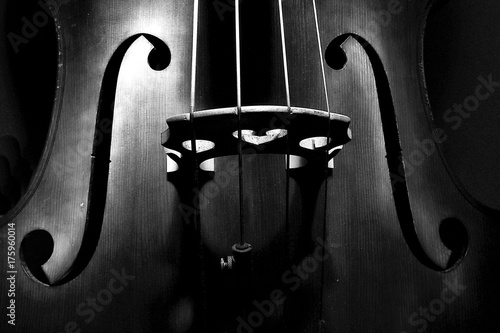 An italian double bass photo