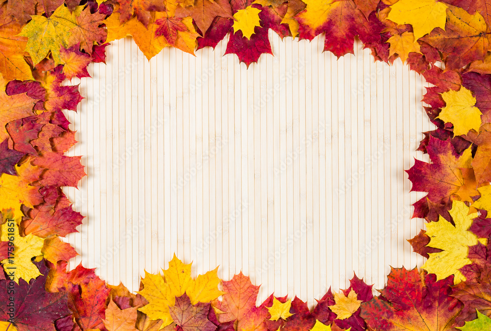 Autumn leaves on a wooden background. Frame for inscription.