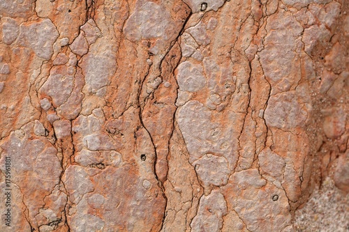 The surface of red nodular limestone