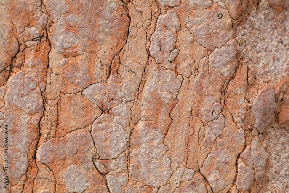 The surface of red nodular limestone The surface of red nodular limestone