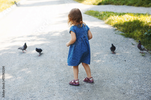 the little girl in the blue dress in the Park feeding the flock of pigeons photo