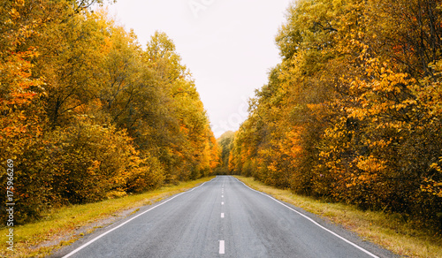 autumn road. forest landscape with Golden foliage . the concept of travelling by car