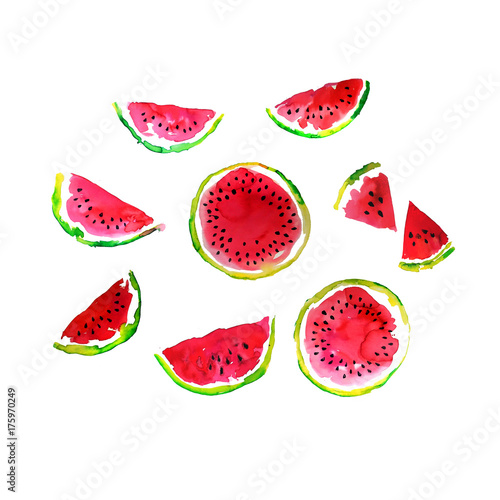 Fototapeta Naklejka Na Ścianę i Meble -  Watermelon slices watercolor hand made illustration set