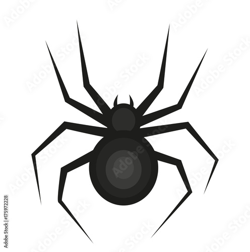 Spider icon is a flat style. Isolated on white background. Vector illustration