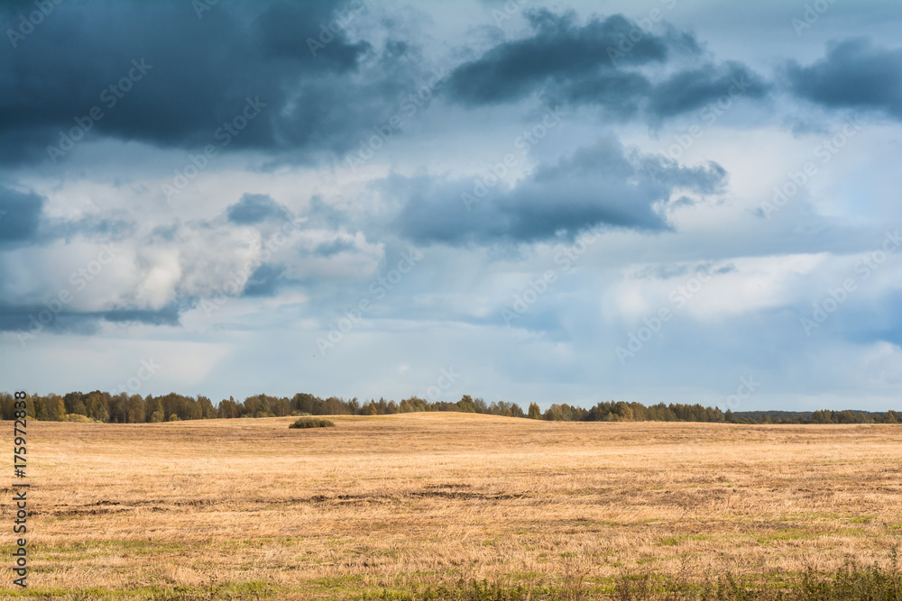 autumn landscape with cloudy weather, large rainy clouds over a chamfered yellow field