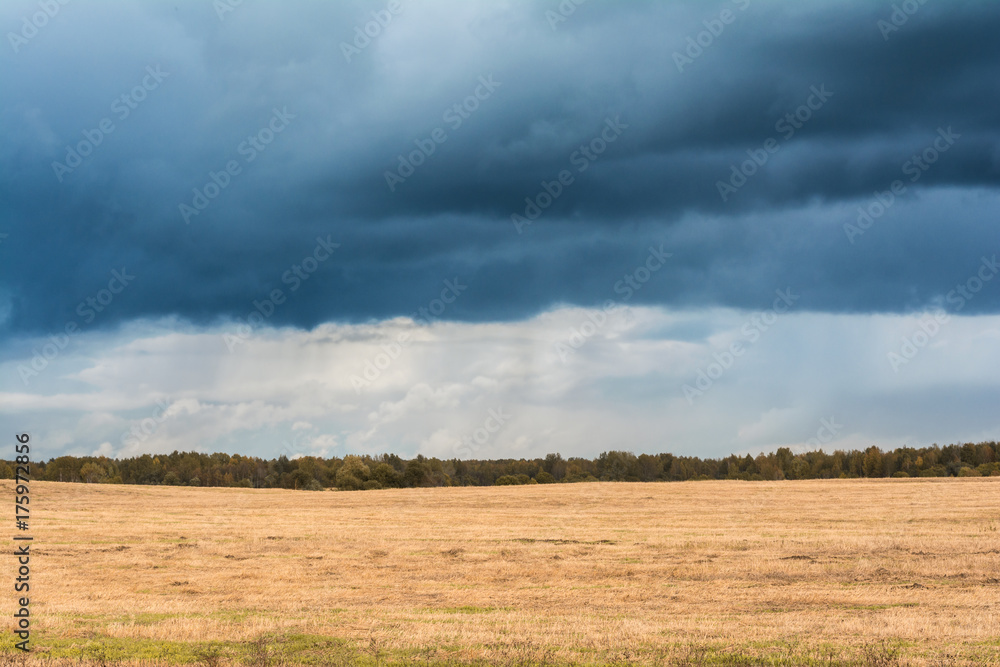 autumn landscape with cloudy weather, large rainy clouds over a chamfered yellow field