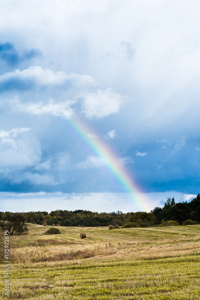 autumn landscape with cloudy weather, large rainy clouds over a chamfered yellow field, the rainbow is in the sky autumn landscape with cloudy weather, large rainy clouds over a chamfered yellow field, the rainbow is in the sky