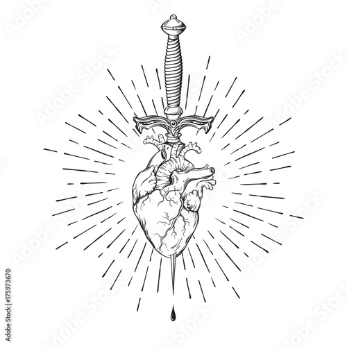 Human heart pierced with ritual dagger in rays of light isolated on white background hand drawn vector illustration Fototapeta
