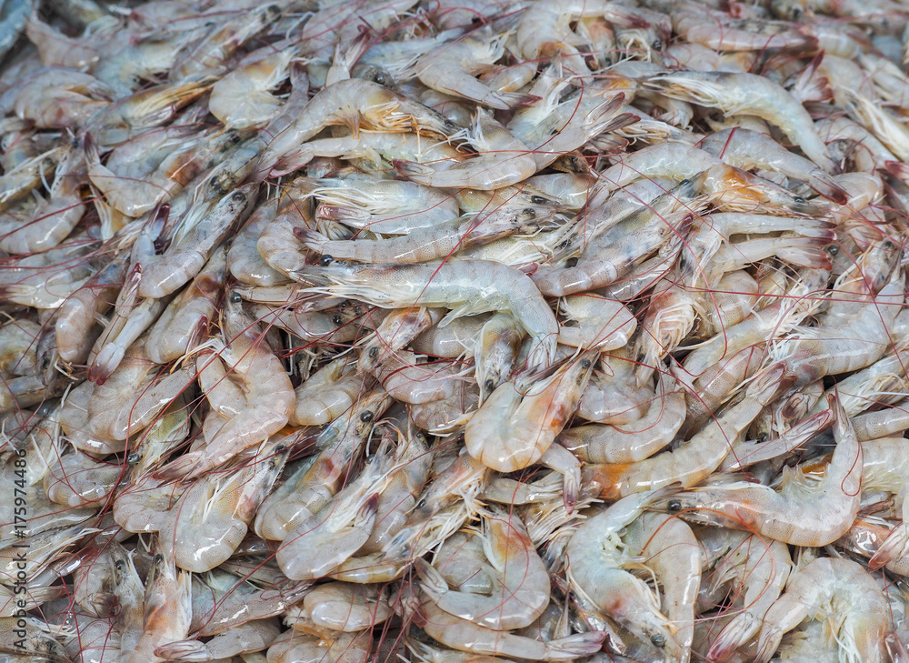 Fresh shrimp on ice in seafood market, Food industrial background Fresh shrimp on ice in seafood market, Food industrial background
