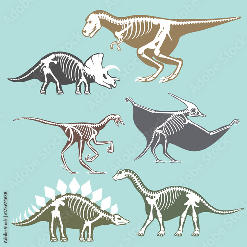 Fototapeta Naklejka Na Ścianę i Meble -  Dinosaurs skeletons silhouettes set fossil bone tyrannosaurus prehistoric animal dino bone vector flat illustration.
