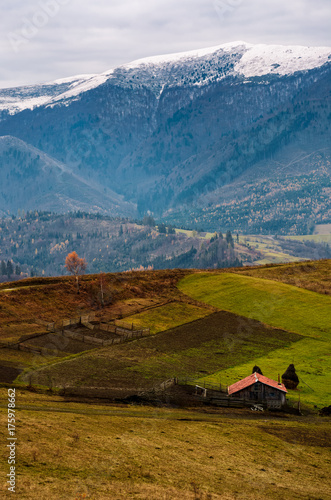 abandoned wooden barn and lonely tree with yellow foliage, on hillside in high mountains with snowy tops. magnificent deep autumn countryside landscape