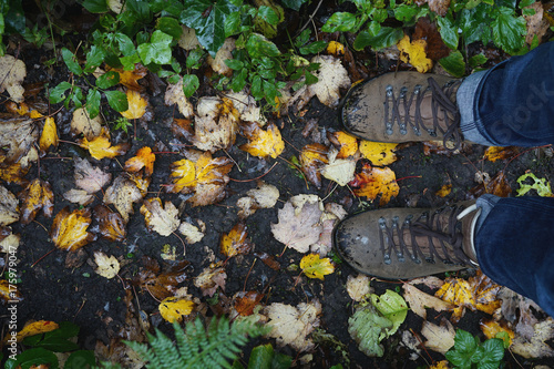 Looking down on hiking shoes in a forest in fall