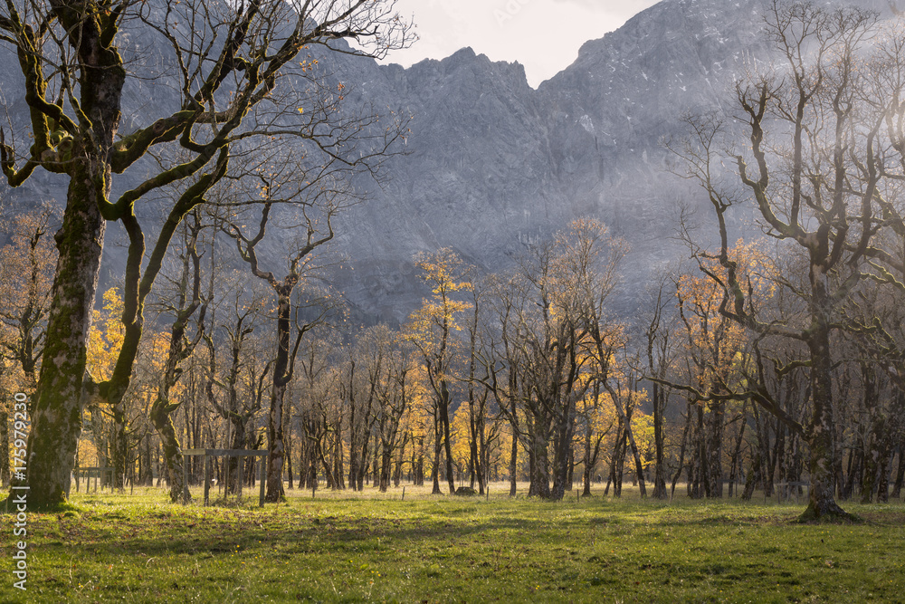 Fototapeta premium Großer Ahornboden, Tirol, Österreich