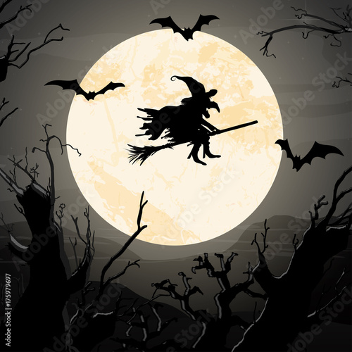 Halloween witch in front of full moon